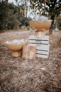 Hochzeitskathi - Schloss Zeilitzheim Blütenkonfetti